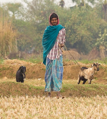 Rural Gifts