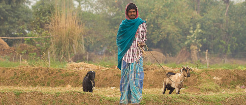 Rural Gifts